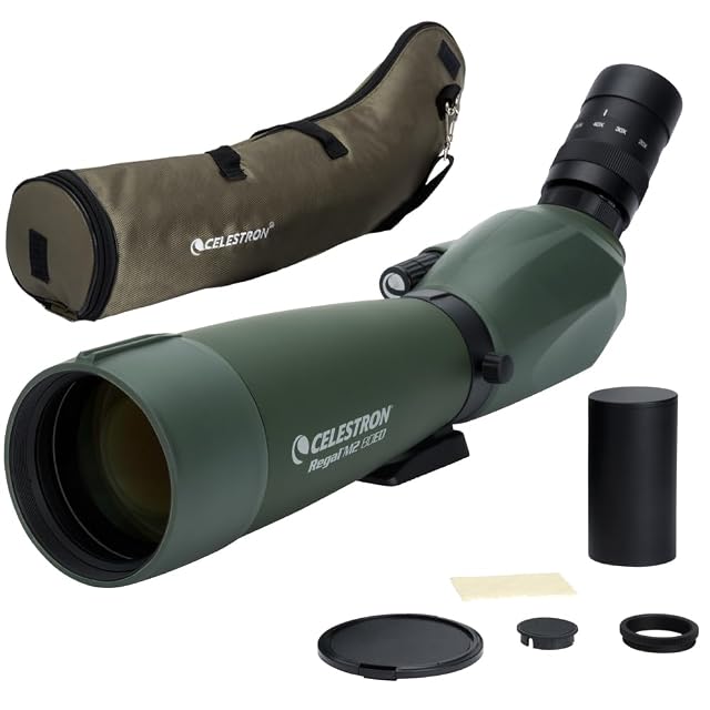 Cannocchiale Celestron Regal M2 20-60×80 ED verde
